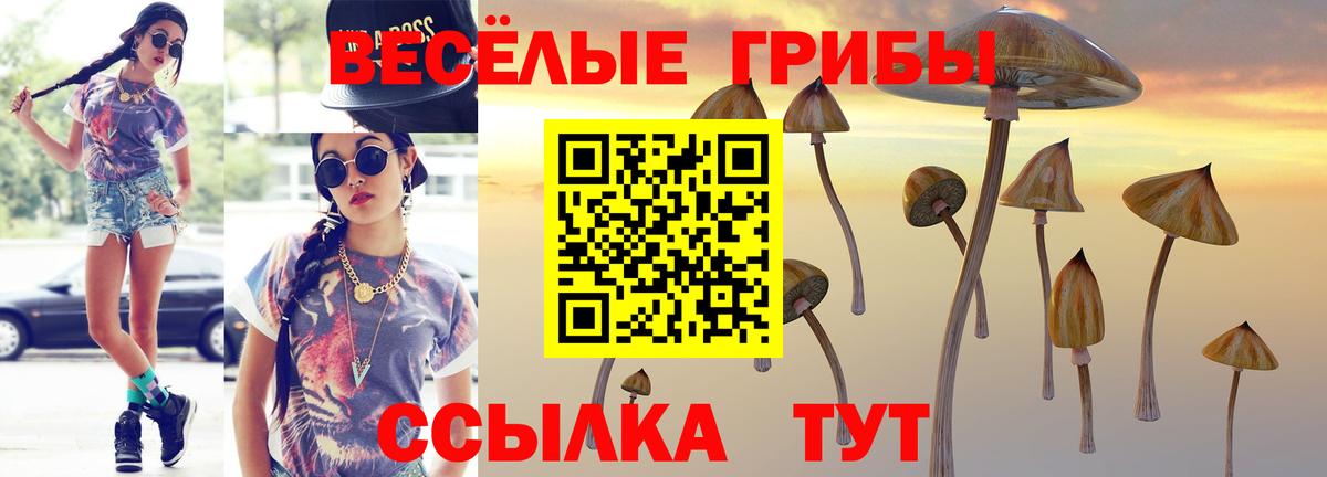Галлюциногенные грибы Cubensis  Вход с VPN  Псилоцибиновые грибы Cubensis  Людиново 