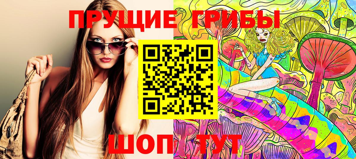 Галлюциногенные грибы Cubensis Людиново