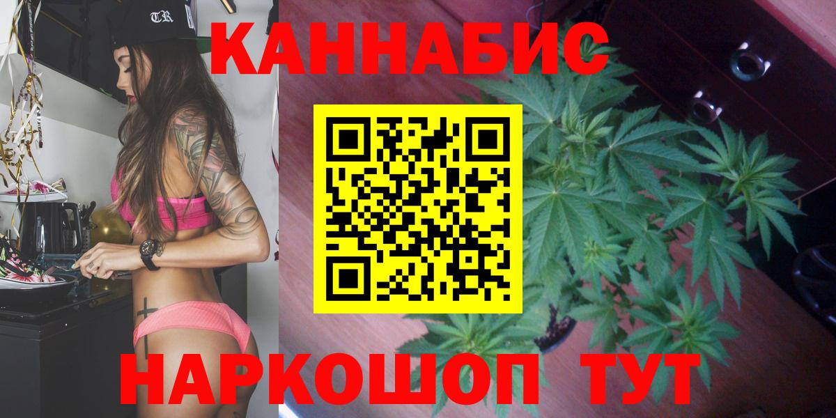 Бошки Шишки MAZAR Людиново